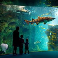 La Rochelle Aquarium near the Parc de Bellevue campsite