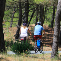 Cyclo Trott electric scooter bike rentals near the campsite