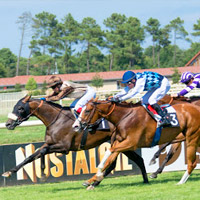 Hippodrome Royan Atlantique racecourse near Arvert