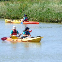 Kayak et Nature kayaking activities near Royan