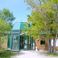 Le Marais aux Oiseaux proche du camping Parc de Bellevue