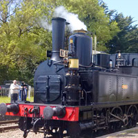 The seagulls train near the Parc de Bellevue campsite