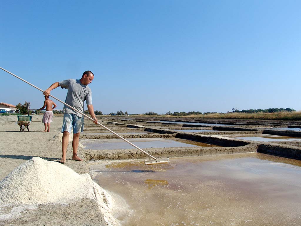 Marais salants en Charente-Maritime près du camping Parc de Bellevue à Arvert