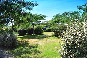 Landscaped grounds of the Bellevue campsite with tent pitches in Arvert