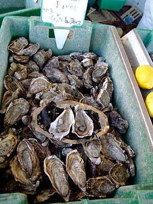 Tasting of Marennes-Oléron oysters near the Parc de Bellevue campsite in Charente-Maritime