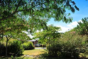 The wooded grounds of the Parc de Bellevue campsite in Arvert, Charente-Maritime