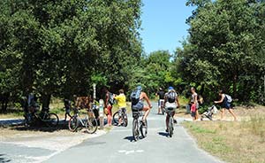 Developed cycle paths for bike rides in Charente-Maritime