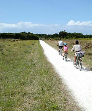 Bike path near the campsite through the countryside in Charente Maritime