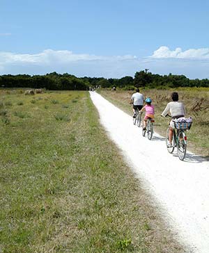 Cycle path near the Bellevue Park campsite for exploring the island of Oléron by bike