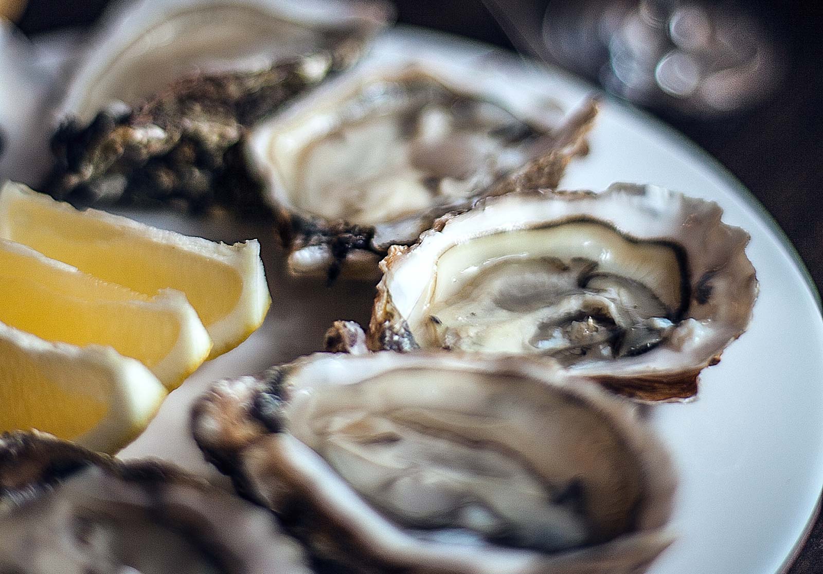 Marenne oysters in Charente Maritime near the campsite