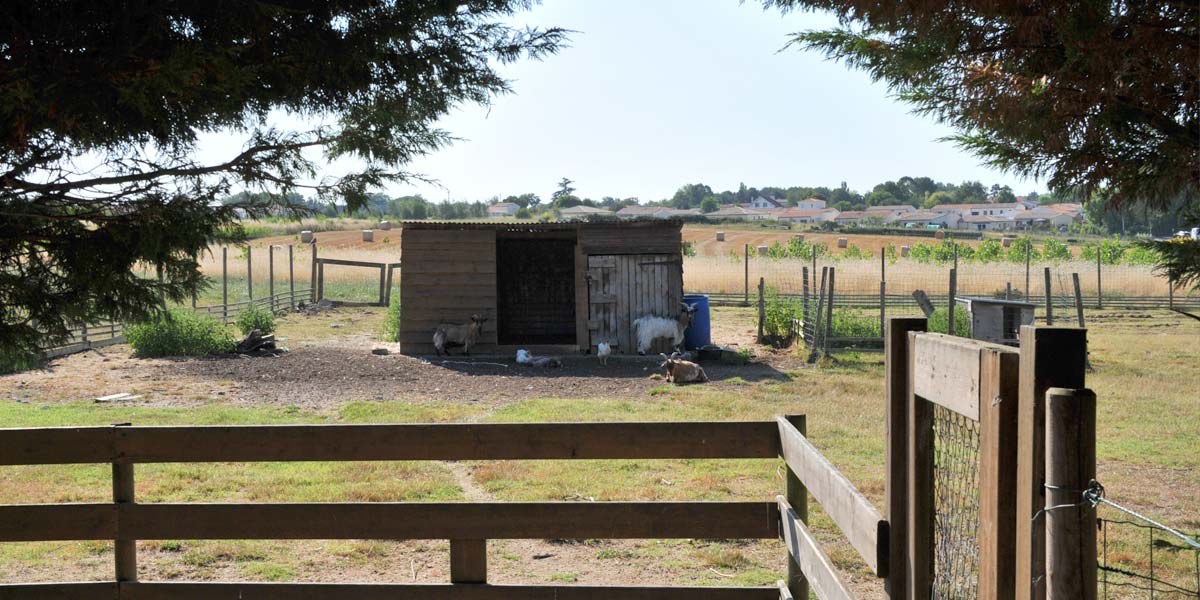 Cabane de la mini-ferme du camping en Charente Maritme