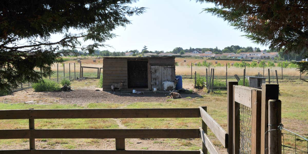 Cabin of the mini-farm of the campsite in Charente Maritme