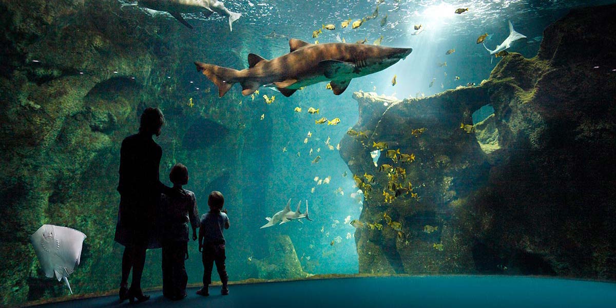 La Rochelle Aquarium near the campsite in Charente Maritime