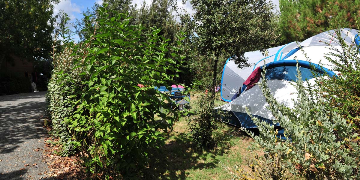 Emplacement pour tente entouré de haies au camping près d'Oléron