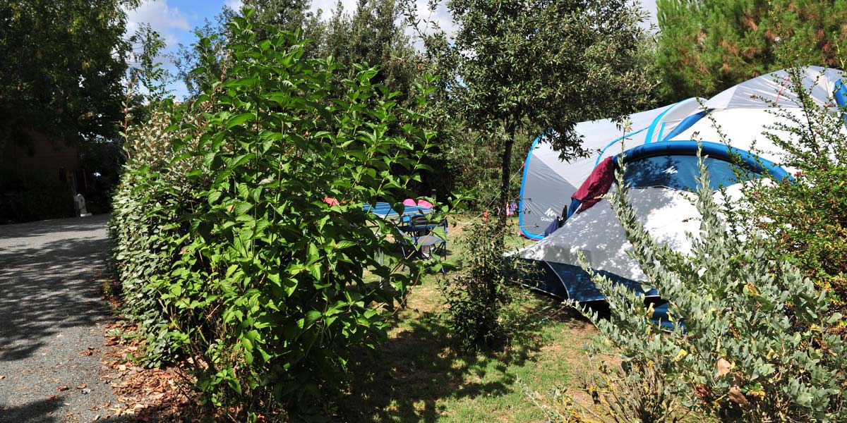 Tent pitch bordered by hedges at the Parc de Bellevue campsite near Oléron
