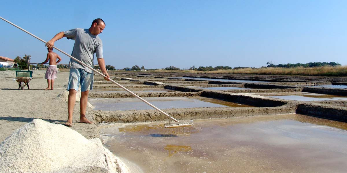 Plaudier in the salt marshes near the campsite in Arvert