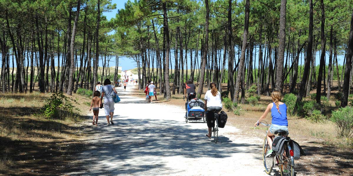 Chemin vers la plage à travers la forêt à Arvert (17)